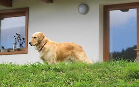 Il Cardo Trentino